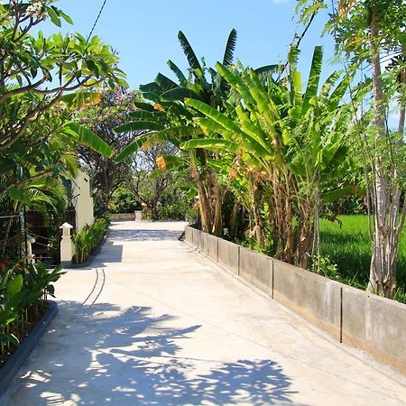 Villa Surgawi Lovina  Exterior photo