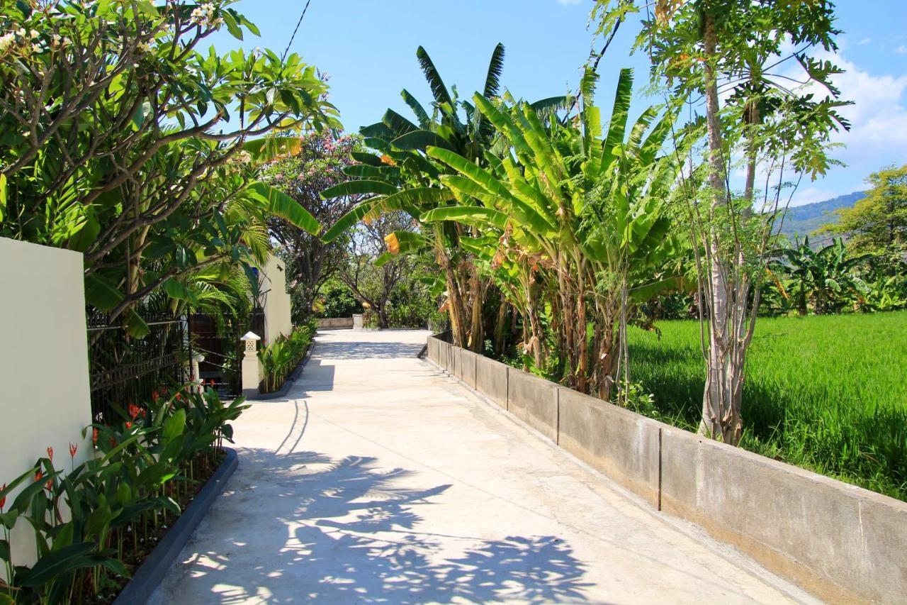 Villa Surgawi Lovina  Exterior photo